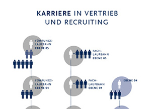 Karriereschemata bei SOLCOM